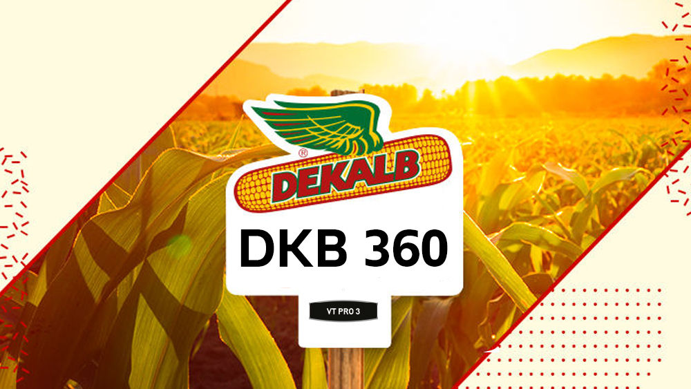 DKB 360 PRO3